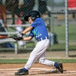 Baseball Most Inspirational Quotes Stylehyme