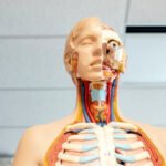 Improve Body Language Stylehyme